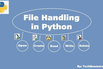 Learn File Handling in Python with Examples