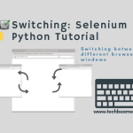 Switch Between Windows Selenium Python