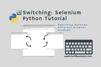Switch Between Windows Selenium Python