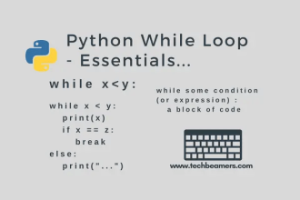 Python while loop