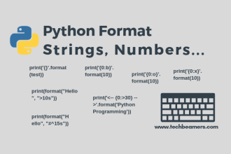 Python Format How To Format Data Types In Python