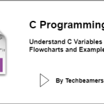 How to use variables in C programming language.