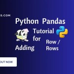 Pandas Add Row Using Multiple Methods in Python