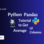 Pandas Get Average Of Column Or Mean in Python