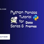How to use python pandas series and dataframes.
