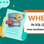 WHERE Clause in SQL Queries