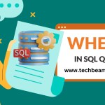 WHERE Clause in SQL Queries