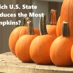 Which U.S. State Produces the Most Pumpkins