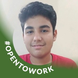Ahann the gaming writer for roblox and other games